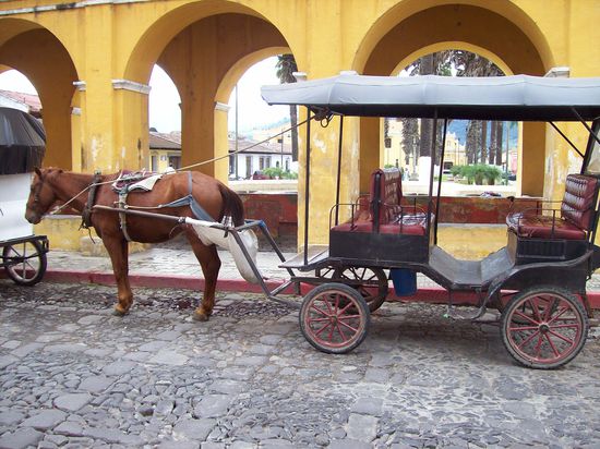 eines der Transportmittel in Antigua
