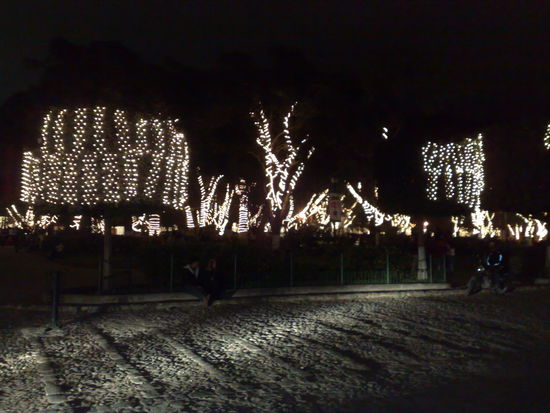 die Weihnachtsbeleuchtung im Central Parque