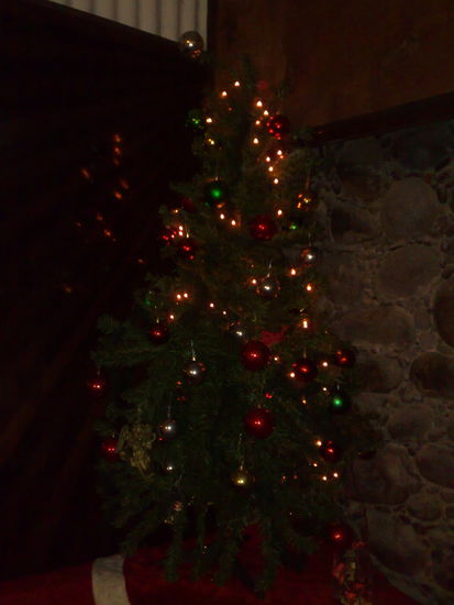 Weihnachtsbaeume gibts auch hier