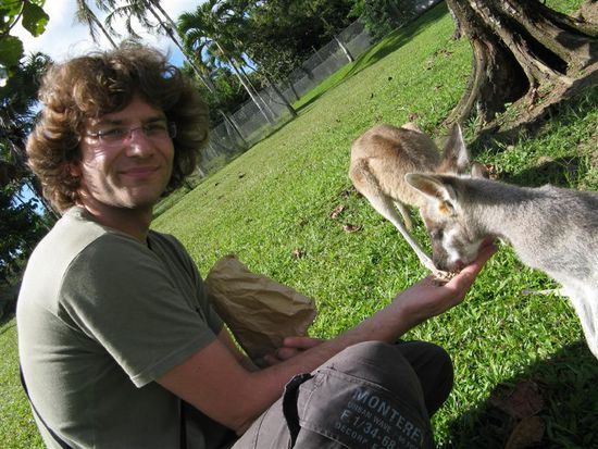 und noch mehr tierisches...