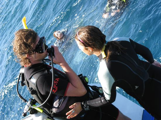 Tauch-Versuch am Riff