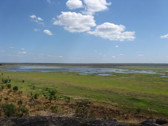 Ubirr Wetland