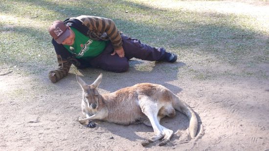 Ebe liget beidi guet do...