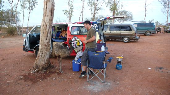 Grande Emu uf em Camping Platz