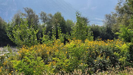 Je weiter wir uns von der Stadt entfernten um so ruhiger wurde es.