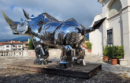 "Das King Kong Rhino wartet auf Albrecht Dürrer" - eine Skulptur von den taiwanischen Künstlern Li-Chen Shin, welches 2018 bei der Biennale in Venedig ausgestellt war.