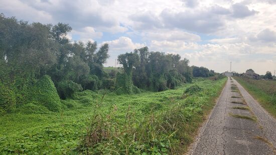 einsam immer gerade aus