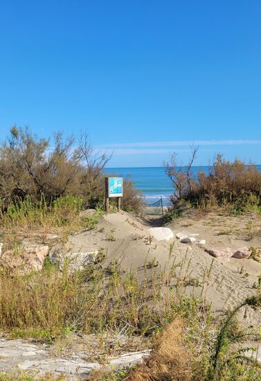 ... und dahinter die Sanddünen ...