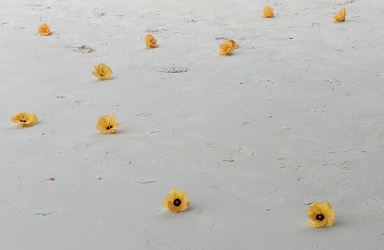 Hat da jemand für mich Blumen gestreut!