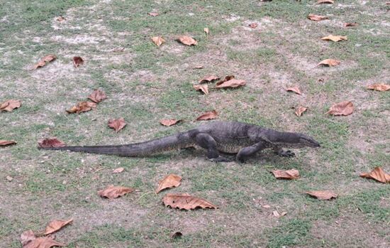 er oder sie hatte nicht ganz meine Größe, vielleicht so 1,50 m