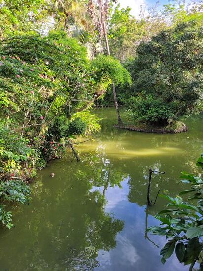 Der Blick vom gemütlichen Banana Cafe ist relaxed und ...