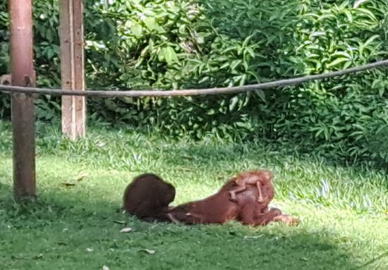 Das kleine Baby wurde im Oktober geboren.