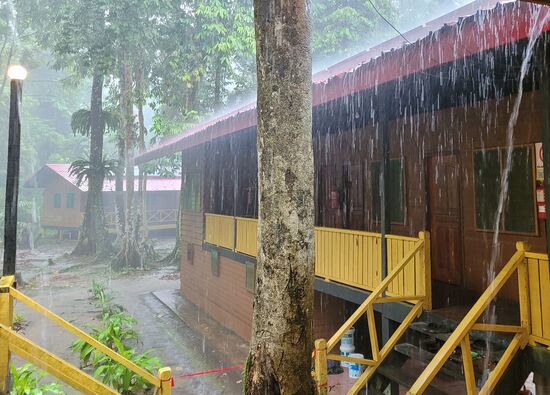 eine Stunde Weltuntergangsstimmung