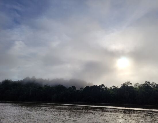 Die Morgen-Bootsfahrten begannen immer sehr stimmungsvoll.