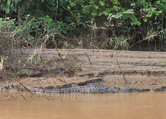 ... viel größer, ...