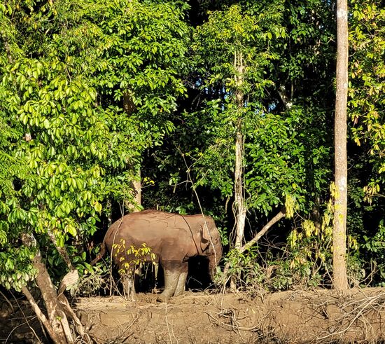 ich muss mir die Füße waschen ...