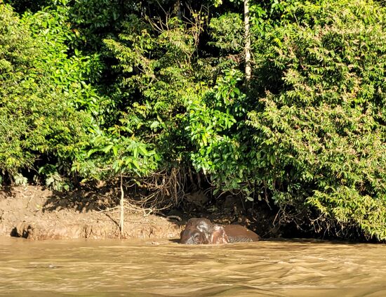 ... es geht halt nix über ein Vollbad ...