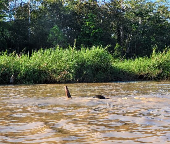 ... ein bisschen Morgensport ...