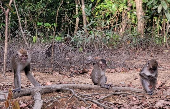 Logenplatz zum Turi schaun ...