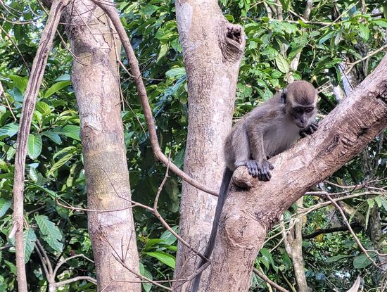 ... ich habe einen Balkonplatz