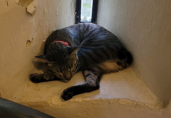 eine Wächterin im Fort