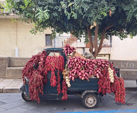 Die berühmte Tropea-Zwiebel, auch bekannt als "Cipolla Rossa di Tropea Calabria IGP" -  Diese rotviolette Zwiebel ist für ihren milden, süßen Geschmack und ihre hohe Bekömmlichkeit bekannt, da sie wenig Schwefel enthält und auch roh verzehrt werden kann.