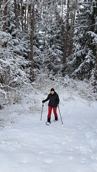 Schneeschuhwanderung am Mieminger Plateau