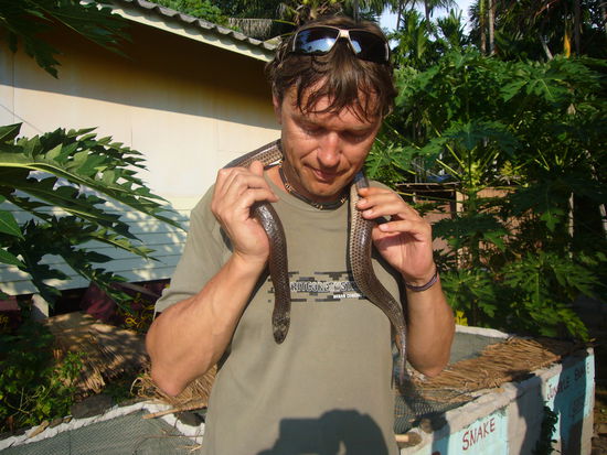 die uns angebotene Snake-Show haben wir dankend abgelehnt, aber etwas umgesehen haben wir uns schon - die Tiere sind sicher nicht artgerecht untergebracht (in kahlen Betonkästen, ohne Baumast oder Laub damit sie sich etwas verkriechen können)