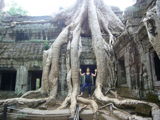 Gigantische Wurzeln umklammern die Türme und Mauern.