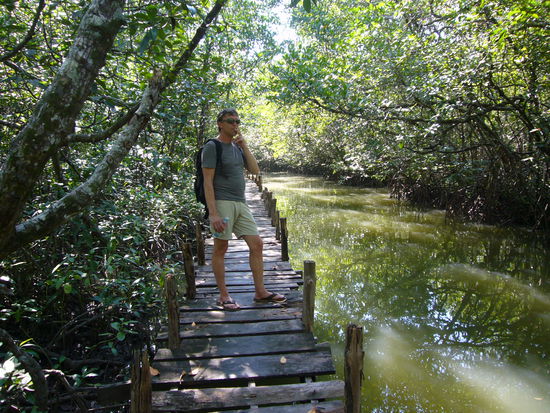 Von Sihanoukvill aus haben wir einen kleinen Tripp in den Ream-Nationalpark gemacht. Wir sind mit einem Boot einen Mangrovenfluss waren entlanggefahren. Die Ranger waren sehr bemüht, aber wirklich aufregendes gab es nicht zusehen.