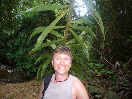 kleiner Urwaldspaziergang