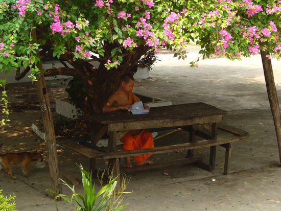 junger Mönch beim Studieren
