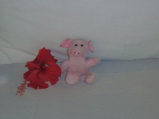 hallo Moni, die Chao Phraya hat mich überall hin begleitet