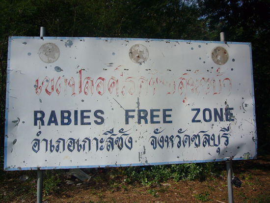 soviel zu meinem Kapitel Hunde von vorher - das Schild "Tollwutfreie Zone" steht am anderen Ende der Insel - ob es gültig ist für die ganze Insel?