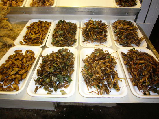 ... oder etwas Einheimisches mit viel Proteine zum Knabbern