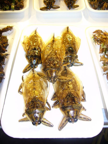 .... Leckerbissen, ca. 6, 7 cm groß