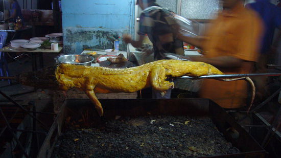 Spankroko ist nicht so mein Fall
Manni hätte schon - aber er hatte zu Mittag schon Kroko-Curry