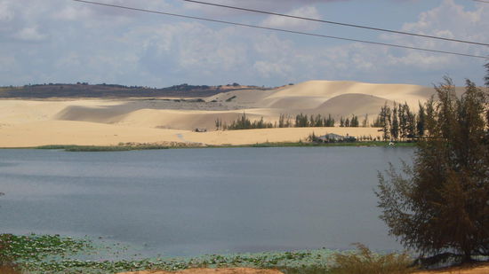 ca. 30 km weiter die weißen Sanddünen am Lotussee