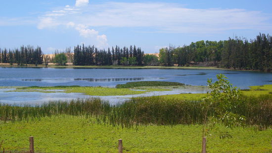 zwischendurch eine Oase