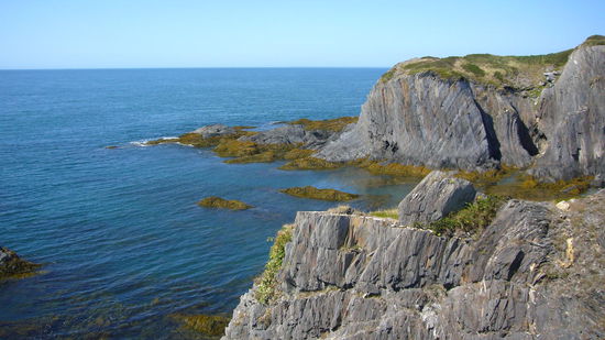 Smuggler Cave - der Weg dahin war leider gesperrt
dafür haben wir illegal im Park oberhalb ein Bierchen getrunken (es ist strengstens verboten in der Öffentlichkeit außerhalb von Lokalen Alkohol zu trinken!!!)