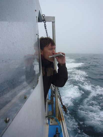 schon wieder illegal mit Alk unterwegs