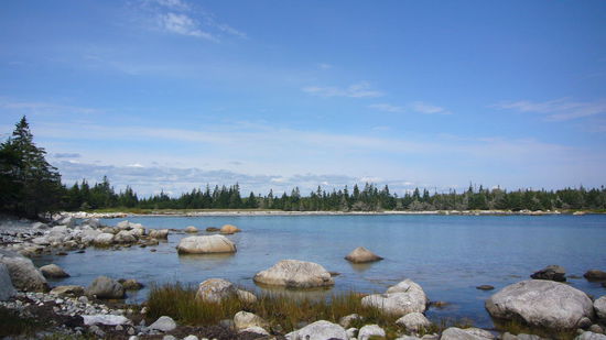 im Raddall Provincial Park