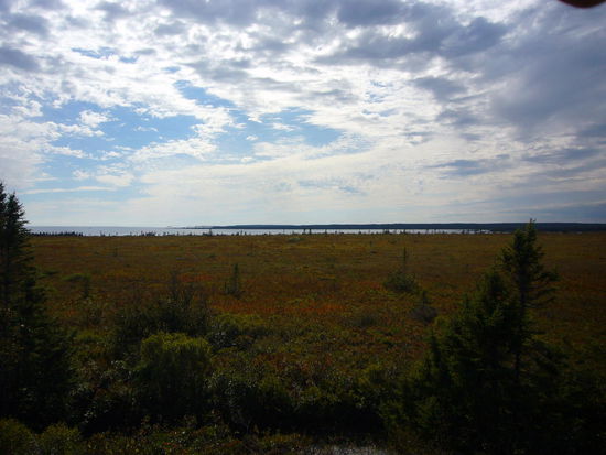 im Kajimakujik Nationalpark Seaside