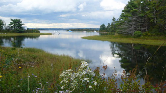 der Steg zur Schatzinsel Oak war gesperrt