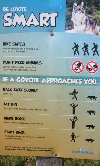 aber es gibt auch andere Tiere in diesem Wald - das Schild haben wir aber erst nach unserer Wanderung gesehen - gottseidank ist uns keiner begegnet - dafür hätte ich fast eine winzige Schlage zertreten