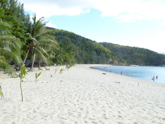dieser Strand, der bei Ebbe mit Koh Ma durch eine Sandbank verbunden ist, wird uns als Schlangenstrand in Erinnerung bleiben - aber auch hier hat das Wasser z.Z. viel mehr als 30°