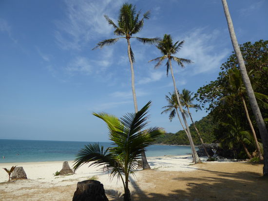 und hier gibts einen absolut Top-Macciato - selten in Italien so einen guten getrunken