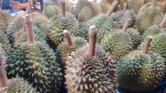 Durian - die Stinkfrucht - schmeckt gut, aber nur mit zugedrückten Nasenflügel genießbar