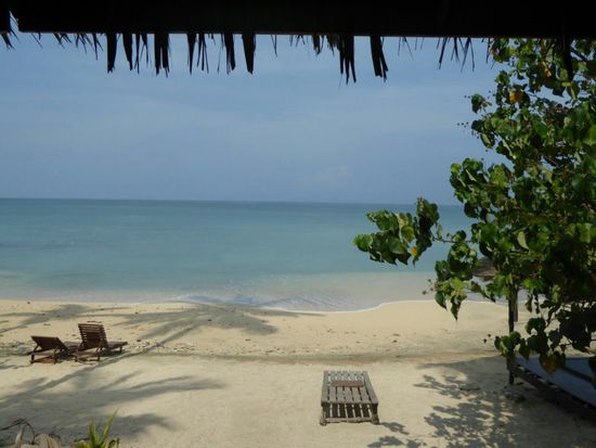 .... und denkt sehnsuchtsvoll an den Ausblick von der Hängematte zurück