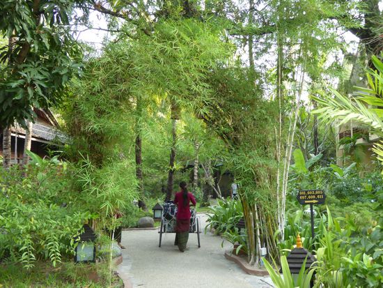 das fleißig Zimmermädchen unterwegs um ...